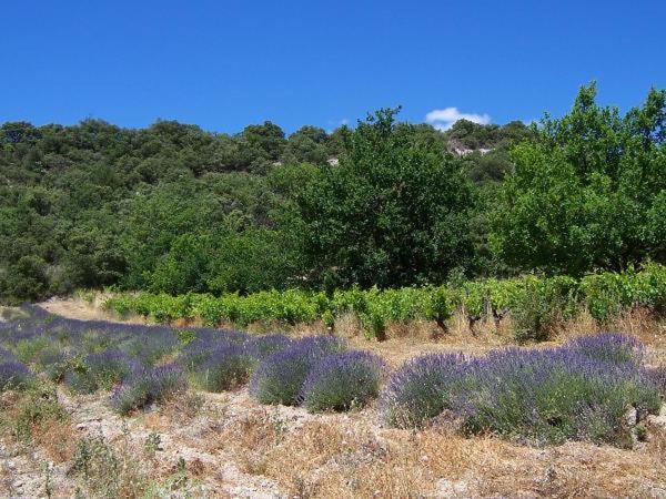 Dom L' Argo Διαμέρισμα Reillanne Εξωτερικό φωτογραφία